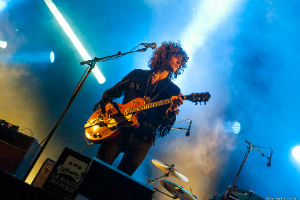 the wombats